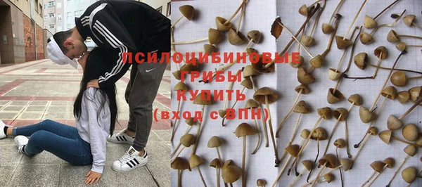не бодяженный Алзамай